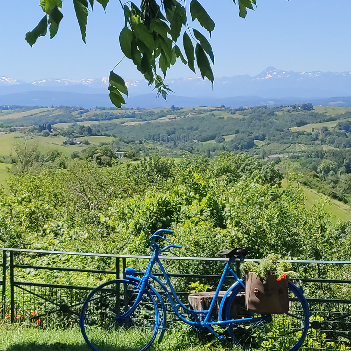 Vue sur la nature et les montagnes de la terrasse du Trapéen